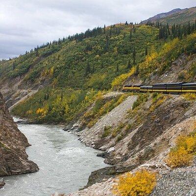 Alaska Railroad Fairbanks to Denali One Way