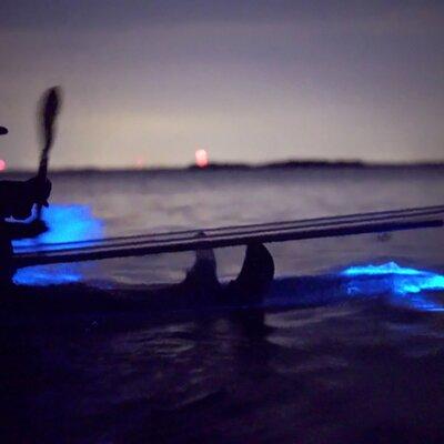 Clear Kayak Florida Bioluminescence Tour | Beacon 42 (Titusville)