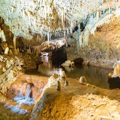 Harrison's Cave Tour in Barbados
