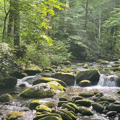 Smoky Mountains Roaring Fork Guided Sightseeing Tour by Jeep