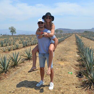 Full Day Guided Tour in Amatitán and Tequila with Tasting