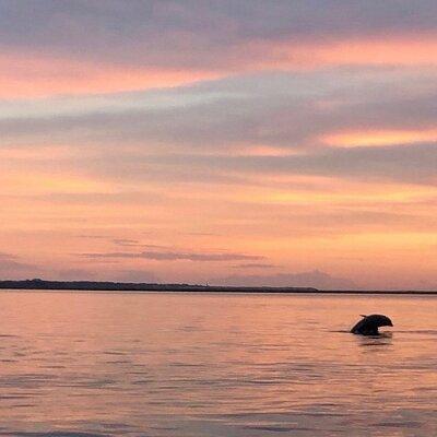 Private Hilton Head Sunset Dolphin Tour