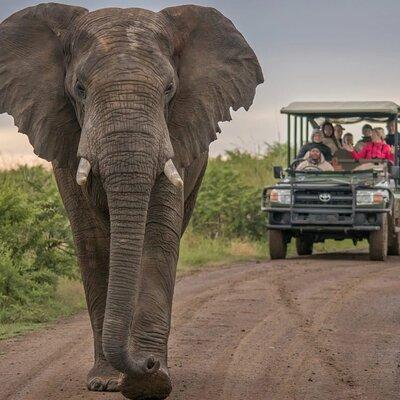 5 Day Garden Route and Addo Safari - Best of South Africa Small Group Tour