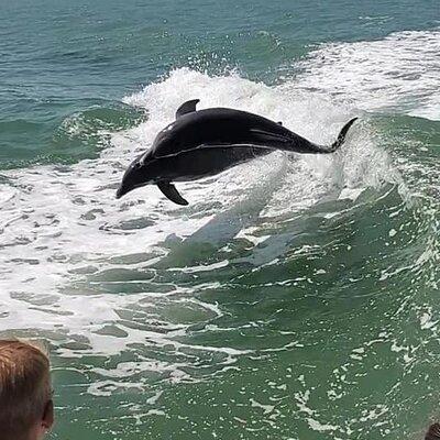 Myrtle Beach Dolphin Cruise