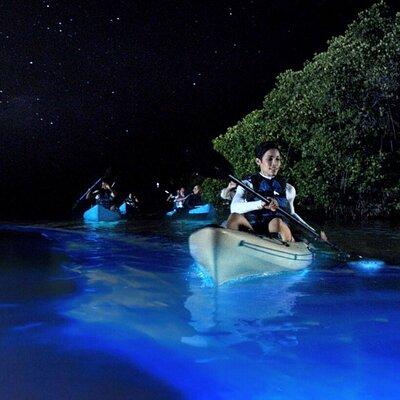 Bioluminescence Clear Kayak or Paddleboard Adventure Tour