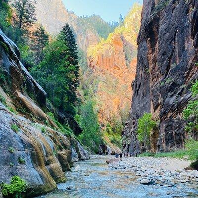 The Narrows: Zion National Park Private Guided Hike