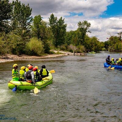 Boise River Guided Rafting, Swimming and Wildlife Tour