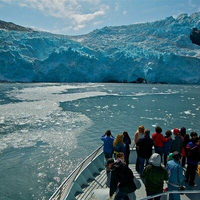 Glacier Quest Cruise - Self-Drive from Anchorage, AK