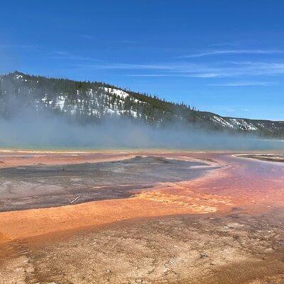 Private Customizable Full-Day Yellowstone Tour