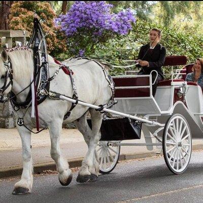 Central Park and NYC Horse Carriage Ride OFFICIAL ( ELITE Private) Since 1970™