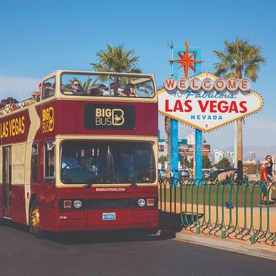 Big Bus Las Vegas: Hop-On Hop-Off Sightseeing Tour