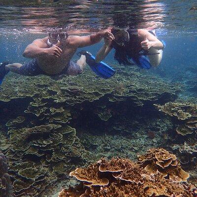 Anilao Snorkel Safari: Explore the Amazing Underwater World