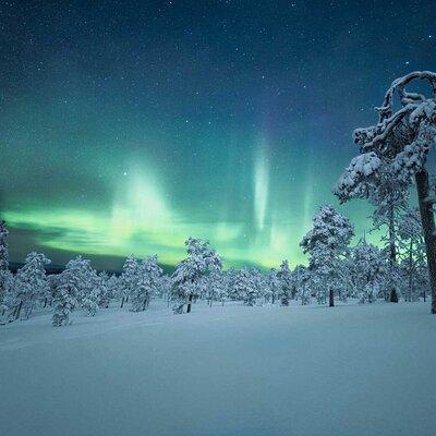 4-Day Aurora Viewing Tour from Whitehorse, Canada