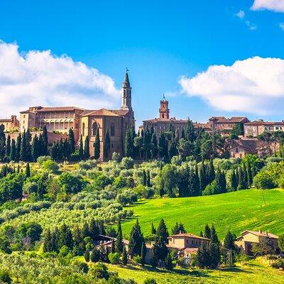 Tuscany Guided Day Trip from Rome with Lunch & Wine Tasting 