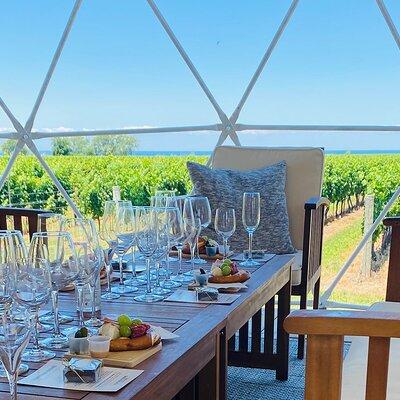 1 Hour Private Vineyard Dome Experience in Niagara-on-the-Lake