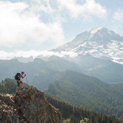 Mount Rainier Full Day Private Tour and Hike