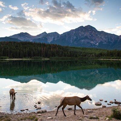 Canmore: Best of Banff National Park - Private Tour - 4hrs