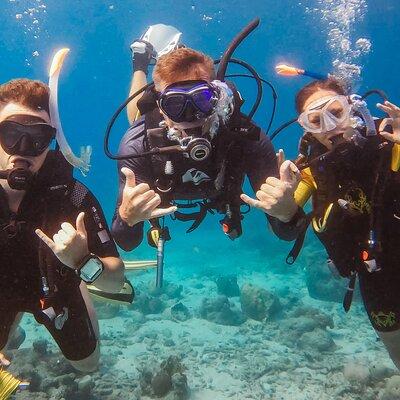 Private Discover Scuba Dive Experience in Curaçao