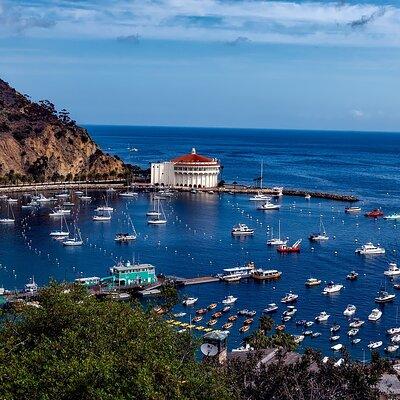 Catalina Island All Inclusive Sightseeing Tour From Orange County