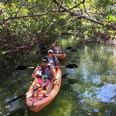 Mangroves and Manatees - Guided Kayak Eco Tour