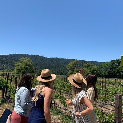 Napa Wine Tour: SUV Up To 6 Guests