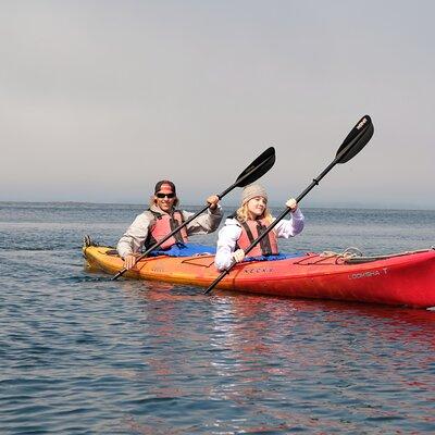 Ketchikan Shore Excursion: Eagle Island Sea Kayaking