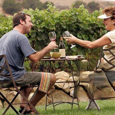  Solvang Valley Small Group All-Inclusive Wine Tour 
