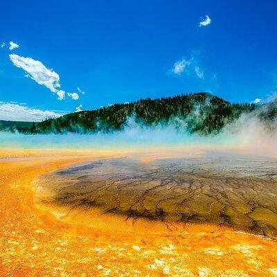 Full-Day Tour in Yellowstone National Park with Lunch