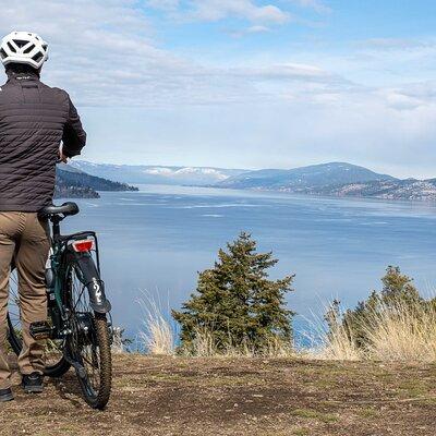 Okanagan Lake Views Guided E-Bike Tour with Picnic