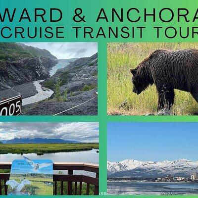 Full-Day Seward Cruise Transit Tour to and From Anchorage 