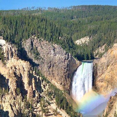 Private Yellowstone Tour: ICONIC Sites, Wildlife, Family Friendly Hikes + lunch