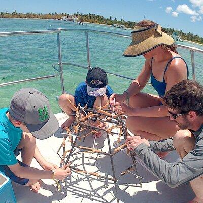 Family Friendly Snorkel Cruise and Seafood Lunch in Punta Cana