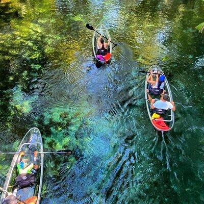 Glass Bottom Kayak Tours of Silver Springs