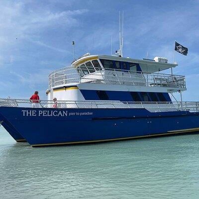 4-Hour St. Pete Pier to Egmont Key Experience by Ferry