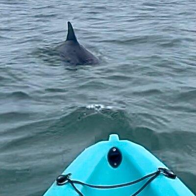 Dolphin Kayak Tour in Virginia Beach Must know how to swim