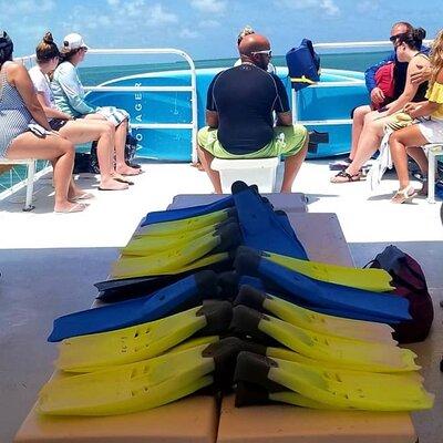 Islamorada: Snorkeling from the Islander Hotel 
