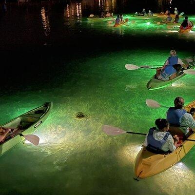 Sharkey's Glass Bottom Fish Feeding LED Night Tour in Clearwater