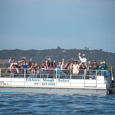 Wildlife Safari Boat Tour in Scenic Monterey Bay Wetland