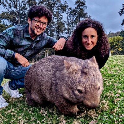 Wild Wombat and Kangaroo Day Tour from Sydney