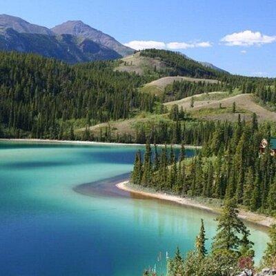 Wild Adventure Yukon Tour into Canada + White Pass Summit