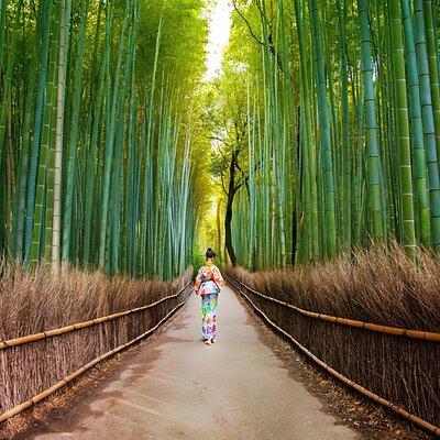 Arashiyama Walking Tour - Bamboo Forest, Monkey Park & Secrets