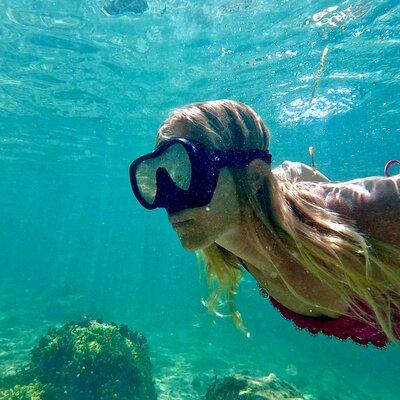 Guided Snorkel Experience, Free Videos in West Palm Beach