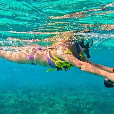 Guided Jet Snorkel Experience, Free Videos in West Palm Beach