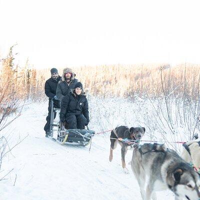 Dogsled and Reindeer Day Trip to Borealis Basecamp