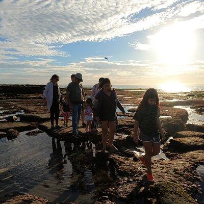 Explore Marine Life in San Diego Tide Pools (Family-friendly)