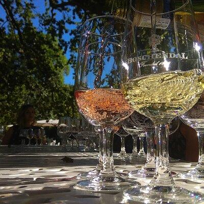 Wine tour to Stellenbosch & Franschhoek with Tastings & Lunch