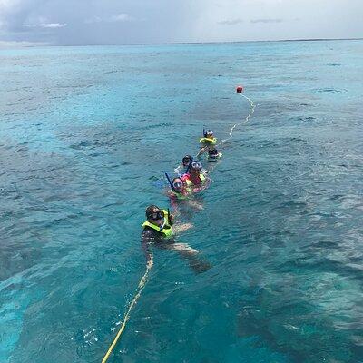 Snorkel Tours of the Key Largo reef for up to 6 people