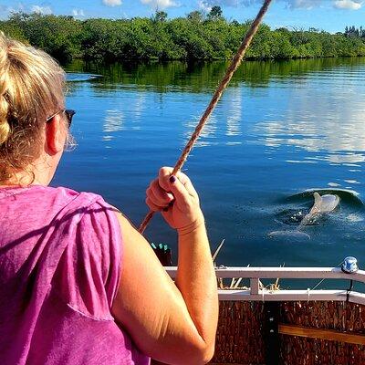 2 hour Dolphin Sightseeing Tour in Melbourne Florida 
