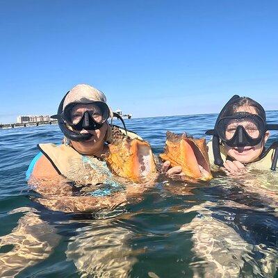 Public Guided Snorkel Tour of Fort Lauderdale Reefs