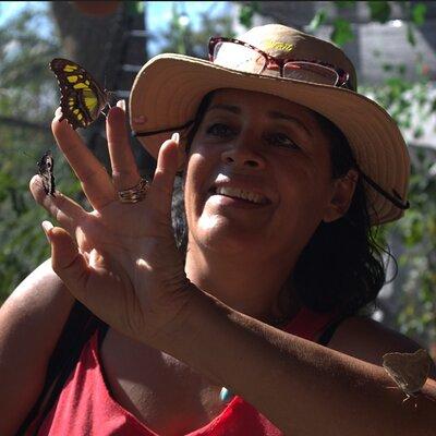 Butterflies, tequila and Beach: An Unforgettable Day in Puerto Vallarta